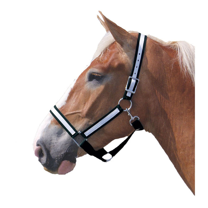 Poly Draft Horse Halter with Overlay