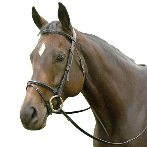 Exselle Event Plain Raised Padded Bridle and Laced Reins with Flash