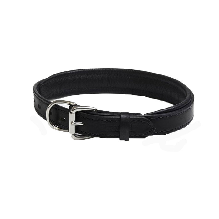 Padded Leather Dog Collar - Black