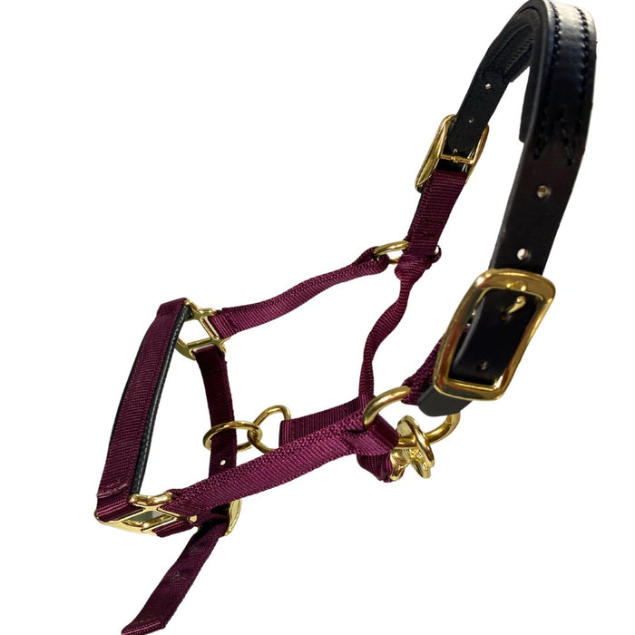 Premium Nylon Breakaway Halter with Padded Crown/Nose