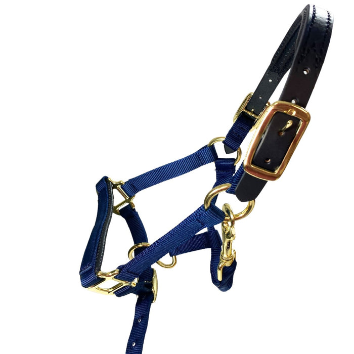 Premium Nylon Breakaway Halter with Padded Crown/Nose