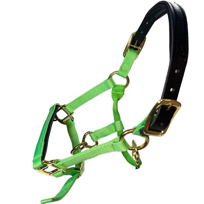 Premium Nylon Breakaway Halter with Padded Crown/Nose