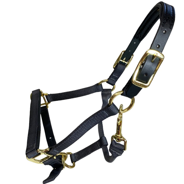 Premium Nylon Breakaway Halter with Padded Crown/Nose