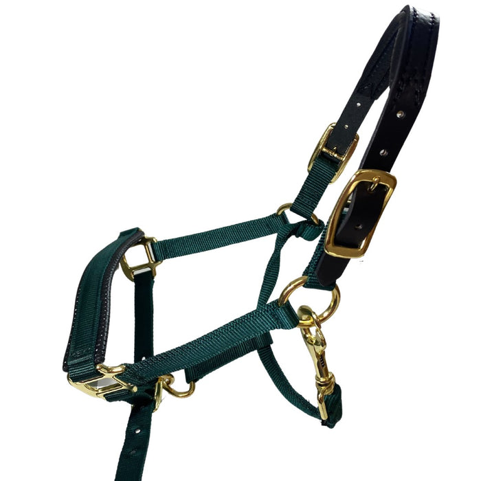 Premium Nylon Breakaway Halter with Padded Crown/Nose