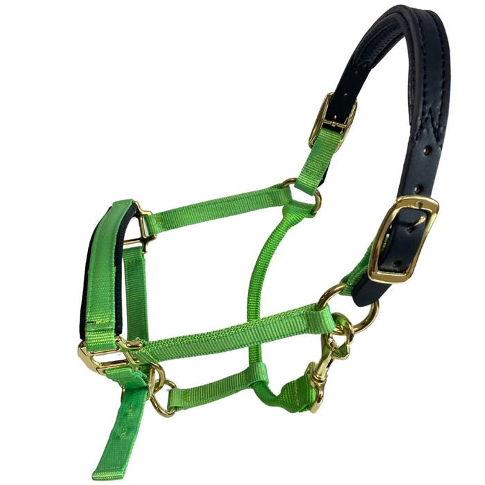 Premium Nylon Breakaway Halter with Padded Crown/Nose