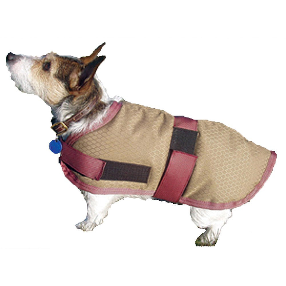 High Spirit Waterproof Insulated Dog Coat — Warehorse