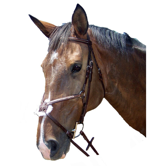 Pro-Trainer Silver Fancy Raised Padded Figure 8 Bridle - Brown (Discontinued)