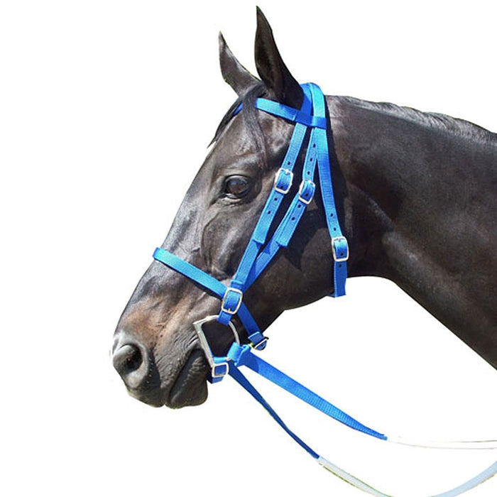 Nylon Race Horse Bridle with Rubber Reins and Curb Strap