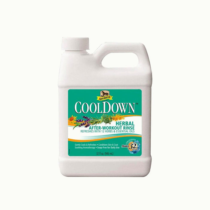 Absorbine CoolDown Brace And Body Wash - Quart