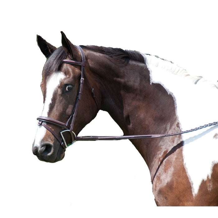 Exselle Fancy Stitched High Raised Padded Bridle (Discontinued)