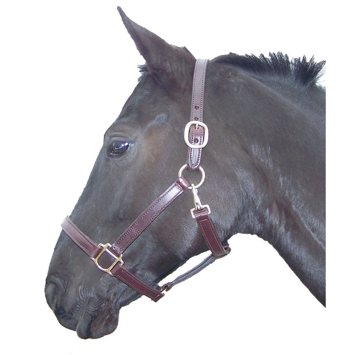 Pro-Trainer Halter with Snap - Brown