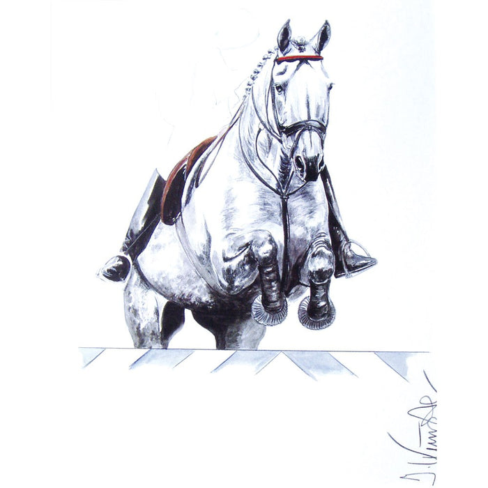 Monaco Show Jumper Matted Print