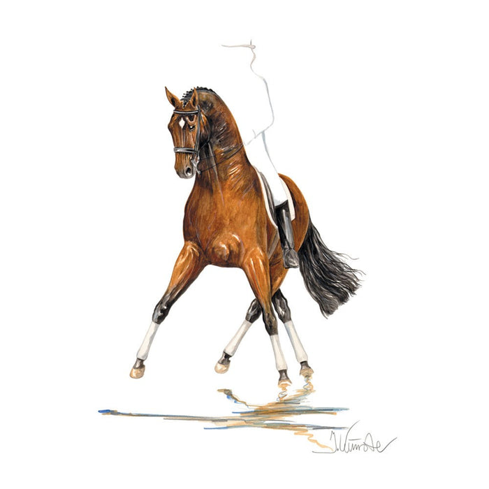 San Diego (Dressage) 19.75" X 27.5" Print