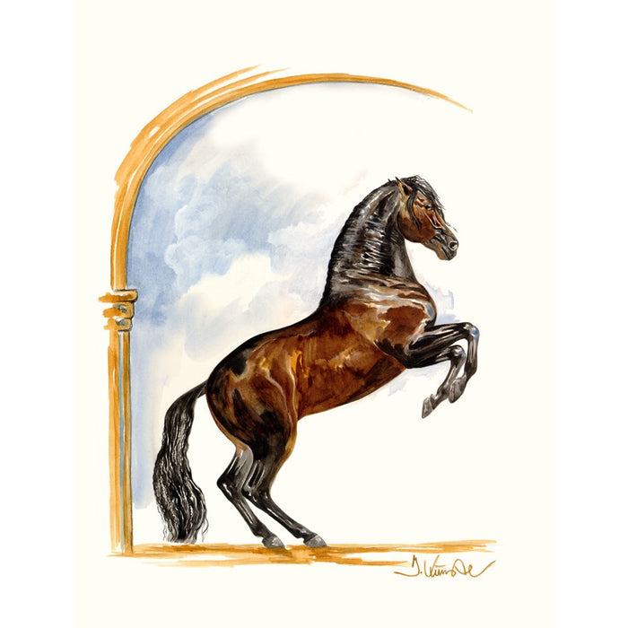 Tavira Horse 19.75" X 27.5" Print