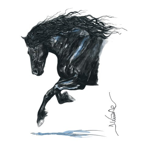 Onyx 2 Friesian Horse Matted 7.75" X 11.75" Print