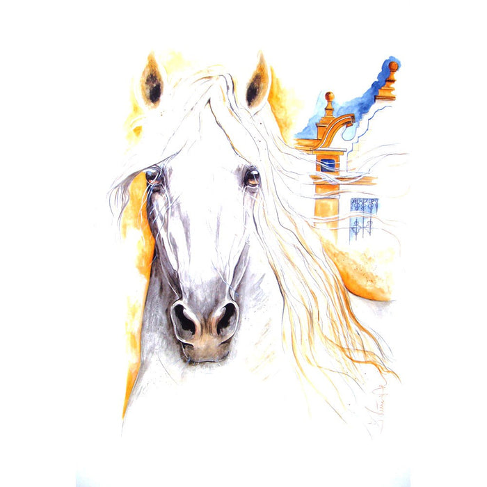 Solero Andalusian Horse 19.75" X 27.5" Print