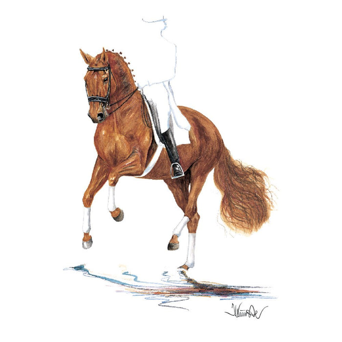 Rheingold (Dressage) Horse 19.75" X 27.5" Print