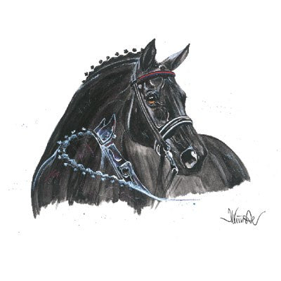 Gammon (Dressage) Horse 19.75" X 27.5" Print
