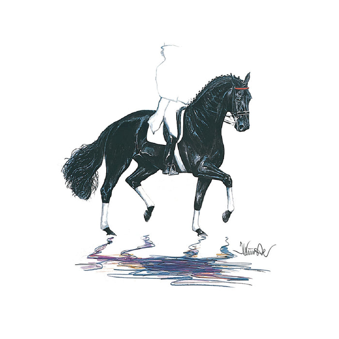 Baccara (Dressage) Horse 19.75" X 27.5" Print