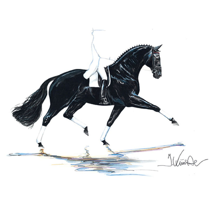 Las Vegas (Dressage) Horse 19.75" X 27.5" Print