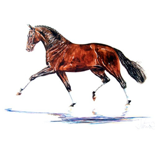 Hengst (Dressage) Horse 19.75" X 27.5" Print