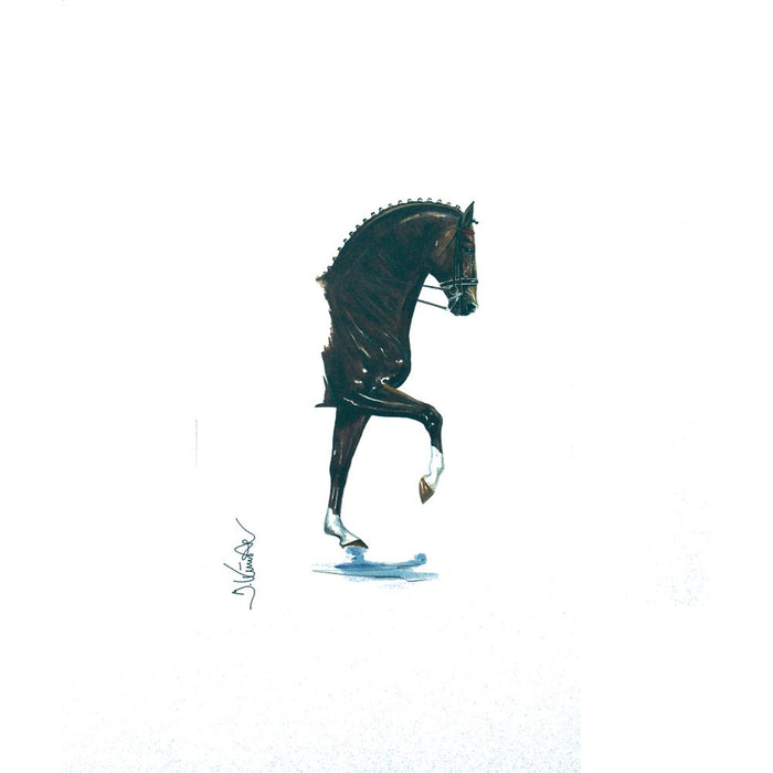 Donnerhall (Dressage) Matted 15.75" X 19.75" Print