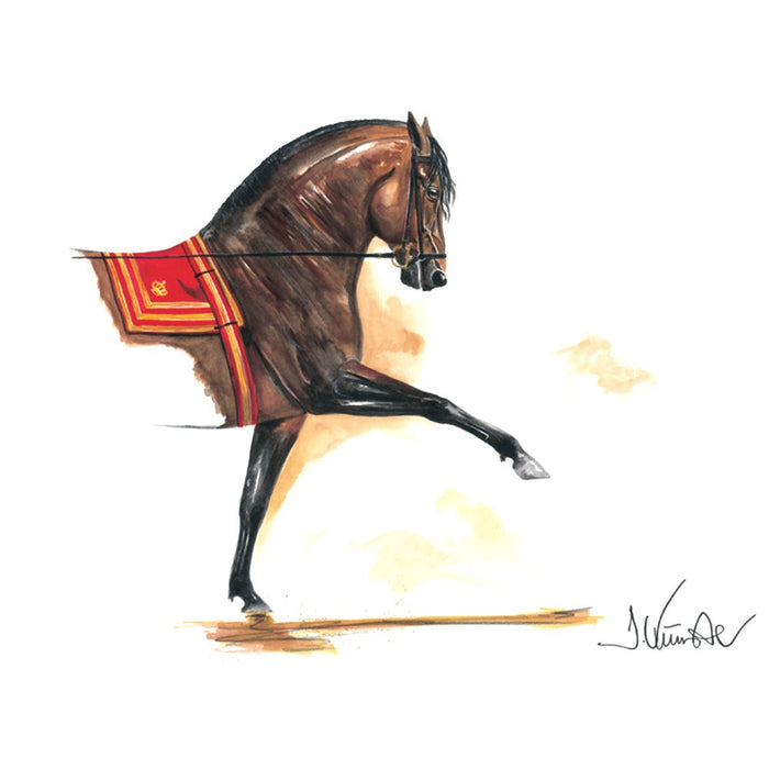 Granada (Andalusian) Horse 19.75" X 27.5" Print