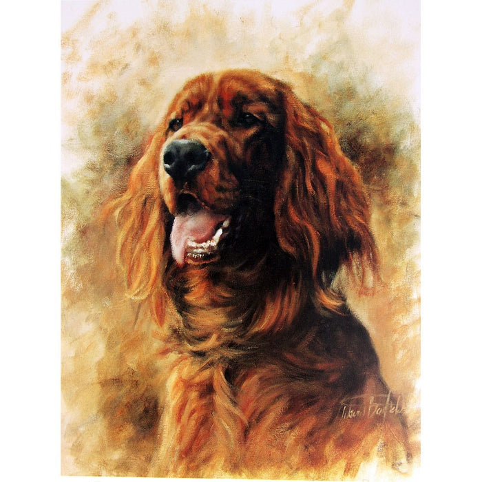 Irish Setter Print