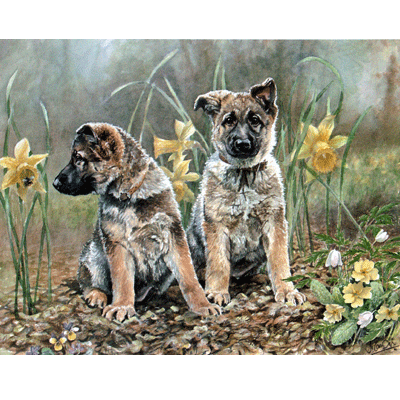 Springtime (Gsd Puppies) Print