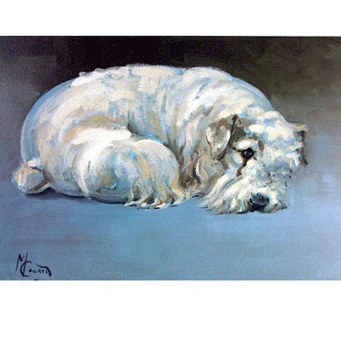 Sealyham Terrier Print