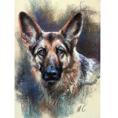 Head Of German Shepherd Print