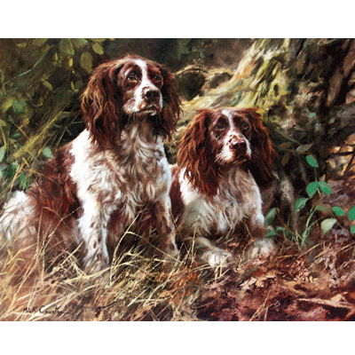 Pair Of Spaniels Print