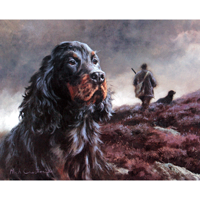 Head Of A Gordon Setter Print