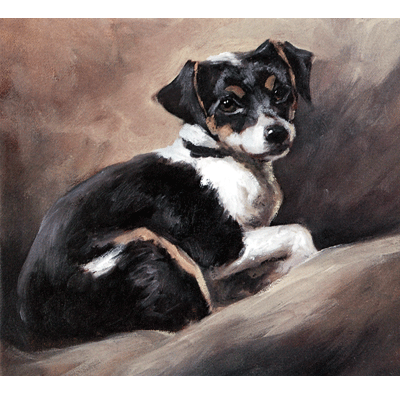 Study Of A Terrier Print