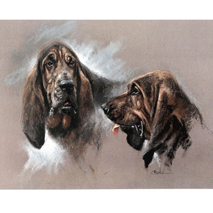 Bloodhounds Print