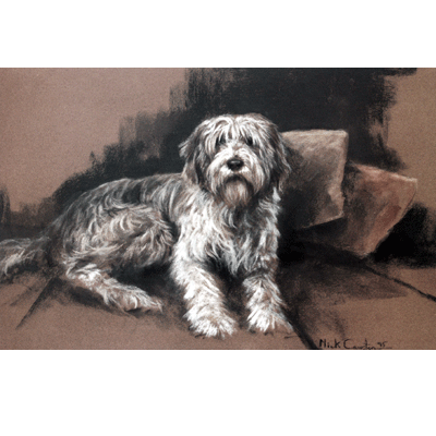 Reverie (Bearded Collie) Print