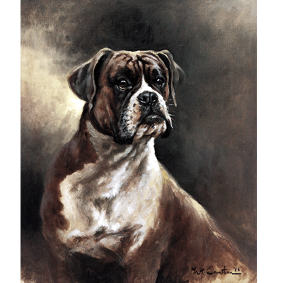 Portrait Of A Boxer Print