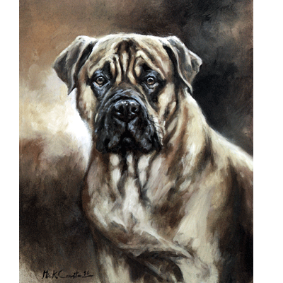 Head Of A Bull Mastiff Print