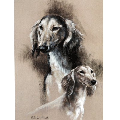 Saluki Print