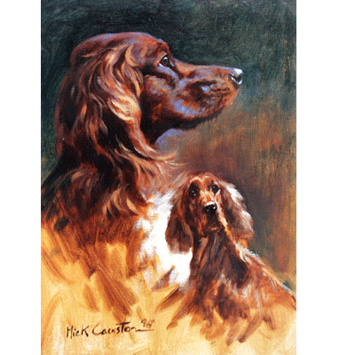 Irish Setter Head Study Print