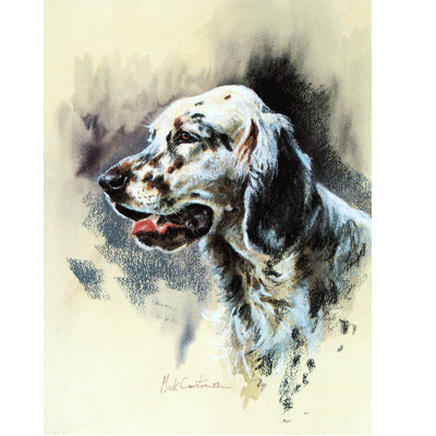 English Setter (Head) Print