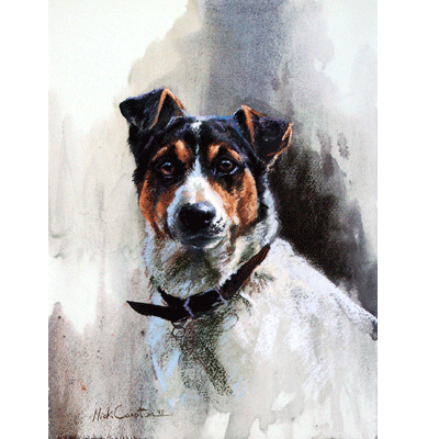 Head Of A Jack Russell Print