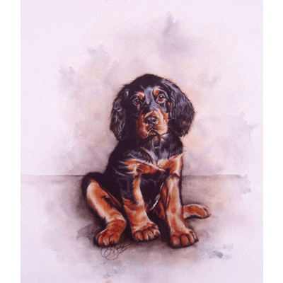 Gordon Setter Puppy Print