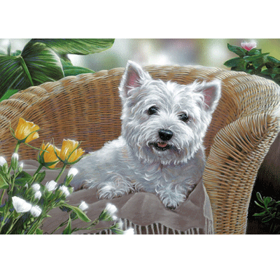 Lazy Days (Westie) Print