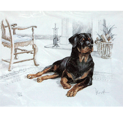 Rottweiler Print