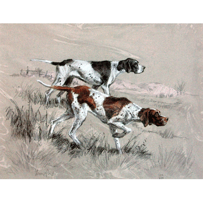 English Pointers Print