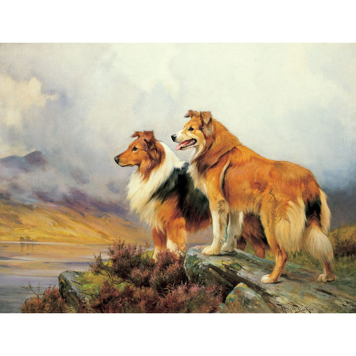 Collies In A Highland Landscape Print