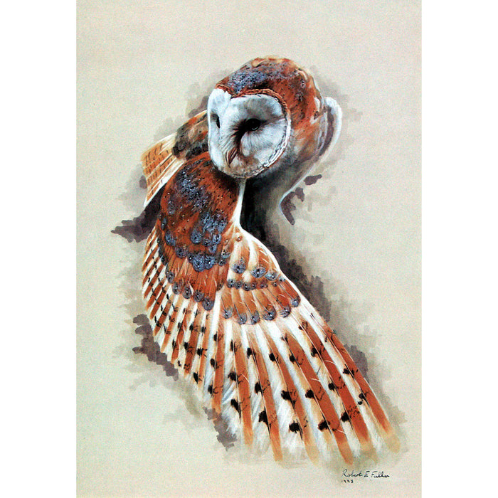 Barn Owl Spreading Wing Print