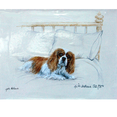 Cavalier King Charles Print