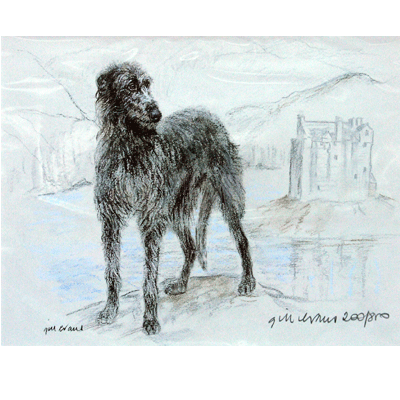 Deerhound Print